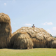 Image for article titled Japan's Straw Beasts Are Huge, Wonderful, and Highly Flammable